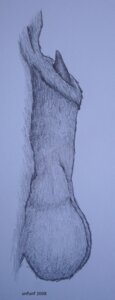 Rating: Explicit Score: 0 Tags: ambiguous_species animal_genitalia balls black_and_blue close-up e621 genital_shot genitals male mammal monochrome penis penis_shot penis_tip sheath solo unfunf User: bunchy7s