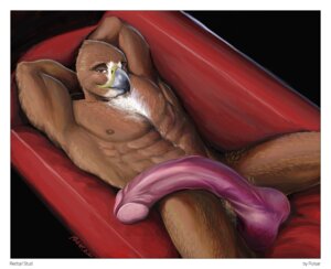 Rating: Explicit Score: 0 Tags: 1boy avian balls beak big_penis bird erection hyper male male_only penis pulsar rule34 solo User: bunchy7s Rating: Explicit Score: 0 Tags: 1boy avian balls beak big_penis bird erection hyper male male_only penis pulsar rule34 solo User: bunchy7s