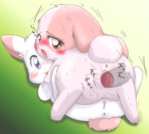 Rating: Explicit Score: 0 Tags: chima female feral feral_on_feral happy_happy_clover mallow_(hhc) meru rule34 suvaru tagme User: bunchy7s Rating: Explicit Score: 0 Tags: chima female feral feral_on_feral happy_happy_clover mallow_(hhc) meru rule34 suvaru tagme User: bunchy7s