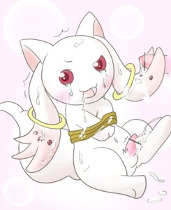 Rating: Explicit Score: 0 Tags: bdsm blush bodily_fluids bondage bound censored cum cum_in_mouth cum_inside cum_on_face cumshot disembodied_penis domestic_cat dripping duo e621 earjob ejaculation erection felid feline felis feral genital_fluids genitals hands-free incubator_(puella_magi) kyubey long_inner_ear_fluff looking_at_viewer male male/male mammal navel open_mouth orgasm penis puella_magi puella_magi_madoka_magica ring rope ruua solo_focus tail User: bunchy7s