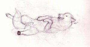 Rating: Explicit Score: 0 Tags: animal_genitalia anyare balls canid canine canis e621 feral genitals lying male mammal monochrome nude on_back penis penis_tip sheath simple_background sketch solo tail tongue white_background wolf User: bunchy7s Rating: Explicit Score: 0 Tags: animal_genitalia anyare balls canid canine canis e621 feral genitals lying male mammal monochrome nude on_back penis penis_tip sheath simple_background sketch solo tail tongue white_background wolf User: bunchy7s