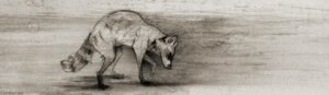 Rating: Safe Score: 0 Tags: 2013 ambiguous_gender coonkun digitigrade e621 eyes_closed feral mammal monochrome procyonid quadruped raccoon sepia simple_background sketch solo tail wind User: bunchy7s
