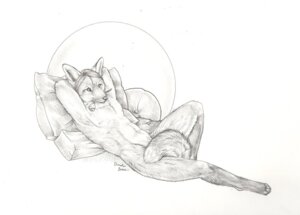 Rating: Safe Score: 0 Tags: anthro biped cadmiumtea canid canine convenient_censorship e621 flower fox looking_at_viewer lying male mammal monochrome navel pillow plant seductive simple_background solo tail traditional_media_(artwork) User: bunchy7s Rating: Safe Score: 0 Tags: anthro biped cadmiumtea canid canine convenient_censorship e621 flower fox looking_at_viewer lying male mammal monochrome navel pillow plant seductive simple_background solo tail traditional_media_(artwork) User: bunchy7s