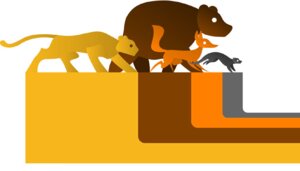 Rating: Safe Score: 0 Tags: ambiguous_gender bear brown_body brown_fur canid canine chris_goodwin domestic_ferret e621 felid feral fox fur grey_body grey_fur group mammal mustelid musteline orange_body orange_fur pantherine simple_background tail tiger true_musteline weasel white_background yellow_body yellow_fur User: bunchy7s Rating: Safe Score: 0 Tags: ambiguous_gender bear brown_body brown_fur canid canine chris_goodwin domestic_ferret e621 felid feral fox fur grey_body grey_fur group mammal mustelid musteline orange_body orange_fur pantherine simple_background tail tiger true_musteline weasel white_background yellow_body yellow_fur User: bunchy7s
