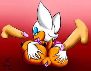 Rating: Explicit Score: 0 Tags: anthro anus ass bat female gloves male penis pussy rouge_the_bat rule34 sega sonic_(series) tagme tail thecon wings User: bunchy7s