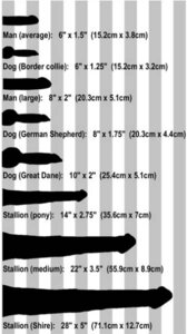 Rating: Explicit Score: 0 Tags: anatomically_correct anatomically_correct_genitalia anatomically_correct_penis anatomy animal_genitalia animal_penis border_collie canid canine canine_genitalia canine_penis canis chart collie comparison digital_media_(artwork) disembodied_penis domestic_dog e621 educational equid equine equine_genitalia equine_penis erection feral genitals german_shepherd grandfathered_content graph great_dane greyscale group herding_dog horse how-to human humanoid_genitalia humanoid_penis knot male mammal mastiff molosser monochrome pastoral_dog pattern_background penis penis_chart penis_lineup penis_size_difference sheepdog silhouette simple_background striped_background the_more_you_know unknown_artist User: bunchy7s Rating: Explicit Score: 0 Tags: anatomically_correct anatomically_correct_genitalia anatomically_correct_penis anatomy animal_genitalia animal_penis border_collie canid canine canine_genitalia canine_penis canis chart collie comparison digital_media_(artwork) disembodied_penis domestic_dog e621 educational equid equine equine_genitalia equine_penis erection feral genitals german_shepherd grandfathered_content graph great_dane greyscale group herding_dog horse how-to human humanoid_genitalia humanoid_penis knot male mammal mastiff molosser monochrome pastoral_dog pattern_background penis penis_chart penis_lineup penis_size_difference sheepdog silhouette simple_background striped_background the_more_you_know unknown_artist User: bunchy7s