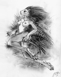 Rating: Explicit Score: 0 Tags: alectorfencer anthro barbed_girls barbedstudios breasts e621 feet female genitals hindpaw mammal monochrome nipples nude pawpads paws porcupine quills_(anatomy) raised_tail rodent simple_background soles solo suami tail vulva white_background User: bunchy7s