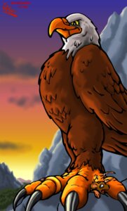 Rating: Questionable Score: 0 Tags: 2008 4_toes accipitrid accipitriform ambiguous_gender ambiguous_pred ambiguous_prey anisodactyl anthro anthro_pred avian avian_feet bald_eagle beak beak_lick biped bird black_claws body_in_mouth brown_body brown_feathers claws cloud dated detailed_background digit_ring digital_media_(artwork) digitigrade e621 eagle feathered_wings feathers feet feral feral_prey hi_res imminent_death jewelry licking licking_lips licking_own_beak licking_own_lips low-angle_view male_(lore) mammal mountain mouse multicolored_body multicolored_feathers murid murine narrowed_eyes naughty_face open_mouth outside pink_tongue pinned plant predator/prey ring riproarrex rodent scared scutes sea_eagle self_lick signature size_difference sky skyra_(rrrex) smile smirk solo standing stepped_on sunset tail tail_feathers talons toe_claws toe_ring toes tongue tongue_out tree vore white_body white_feathers wings yellow_beak yellow_sclera User: bunchy7s