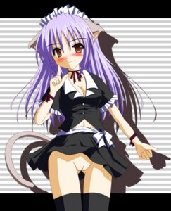 Rating: Explicit Score: 0 Tags: animal_ears cat_ears female maid nekomimi no_panties nopan original pointy_chin rule34 tail thighhighs User: bunchy7s Rating: Explicit Score: 0 Tags: animal_ears cat_ears female maid nekomimi no_panties nopan original pointy_chin rule34 tail thighhighs User: bunchy7s