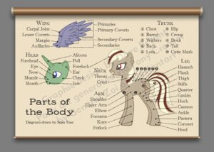 Rating: Safe Score: 0 Tags: alpha_channel ambiguous_gender anatomy barrel biological_illustration blue_eyes border cannon chart coronet cutie_mark diagram digital_media_(artwork) distracting_watermark dock_(anatomy) e621 educational english_text equid equine feathered_wings feathers feral friendship_is_magic full-length_portrait group hasbro hooves horn informative mammal model_sheet my_little_pony mythological_creature mythological_equine mythology portrait ranged_weapon red_eyes side_view simple_background solo_focus species_sheet standing tagging_guidelines_illustrated tail technical_illustration text the_more_you_know tomclowder transparent_border unicorn watermark weapon wings zoological_illustration User: bunchy7s Rating: Safe Score: 0 Tags: alpha_channel ambiguous_gender anatomy barrel biological_illustration blue_eyes border cannon chart coronet cutie_mark diagram digital_media_(artwork) distracting_watermark dock_(anatomy) e621 educational english_text equid equine feathered_wings feathers feral friendship_is_magic full-length_portrait group hasbro hooves horn informative mammal model_sheet my_little_pony mythological_creature mythological_equine mythology portrait ranged_weapon red_eyes side_view simple_background solo_focus species_sheet standing tagging_guidelines_illustrated tail technical_illustration text the_more_you_know tomclowder transparent_border unicorn watermark weapon wings zoological_illustration User: bunchy7s