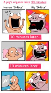 Rating: Questionable Score: 0 Tags: bathroom bed brush cigarette comic comparison digital_media_(artwork) domestic_pig duo e621 english_text furniture hi_res human male mammal mirror nude open_mouth orgasm orgasm_face pillow smoke smoking suid suine sus_(pig) teeth text the_oatmeal time_lapse tongue toothbrush what User: bunchy7s