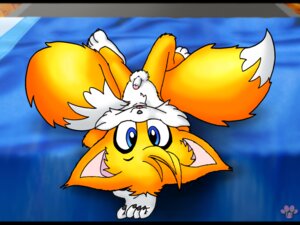 Rating: Explicit Score: 0 Tags: anthro bed canine fox fur indoors lying male male_only mammal nude on_back penis rule34 solo sonic_(series) tagme tails tails_the_fox twotails User: bunchy7s