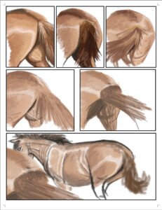 Rating: Questionable Score: 0 Tags: brown_body brown_fur brown_hair butt detailed e621 equid equine female feral fur gdane hair horse mammal multiple_scenes realistic simple_background solo tail vein User: bunchy7s Rating: Questionable Score: 0 Tags: brown_body brown_fur brown_hair butt detailed e621 equid equine female feral fur gdane hair horse mammal multiple_scenes realistic simple_background solo tail vein User: bunchy7s