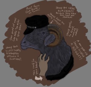 Rating: Safe Score: 0 Tags: alpha_channel ambiguous_gender biker bovid caprine disembodied_hand duo e621 educational facts feral horn jala_blackhurst leather mammal petting sheep solo_focus source_request unknown_artist User: bunchy7s