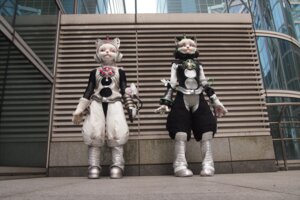 Rating: Safe Score: 0 Tags: 2012 3:2 ambiguous_gender anthro clothing costume domestic_cat duo e621 felid feline felis fursuit grandfathered_content mammal real xpigux User: bunchy7s
