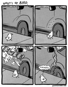 Rating: Questionable Score: 0 Tags: ambiguous_gender avian bird car comic e621 feral greyscale gunshowcomic humor kc_green monochrome pecking screentone solo text tire url vandalism vehicle User: bunchy7s