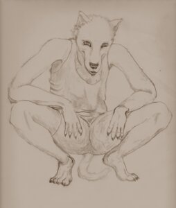 Rating: Safe Score: 0 Tags: anthro bottomwear canid canine claws clothing crouching e621 hi_res looking_at_viewer male mammal monochrome pencil_(object) semiotica shirt shorts solo spread_legs spreading tail tank_top topwear User: bunchy7s