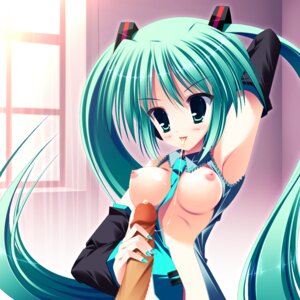 Rating: Explicit Score: 0 Tags: 1boy 1girl aqua_eyes aqua_hair armpits blush breasts censored clothing cum detached_sleeves female green_eyes green_hair handjob hatsune_miku hetero hoshi_kuzu_no_yoru long_hair medium_breasts mosaic_censoring nail_polish necktie nipples open_clothes open_shirt penis rule34 saliva shirt small_breasts solo_focus tagme tongue tongue_out twintails very_long_hair vocaloid User: bunchy7s
