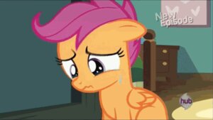 Rating: Safe Score: 0 Tags: 2d_animation animated animated_gif bodily_fluids dtkraus e621 equid equine feathered_wings feathers female feral friendship_is_magic fur hasbro humor justin_bieber justin_bieber_(character) loop mammal my_little_pony mythological_creature mythological_equine mythology orange_body orange_fur pegasus poster real_world scootaloo_(mlp) short_playtime solo tears trash wings young young_female young_feral User: bunchy7s Rating: Safe Score: 0 Tags: 2d_animation animated animated_gif bodily_fluids dtkraus e621 equid equine feathered_wings feathers female feral friendship_is_magic fur hasbro humor justin_bieber justin_bieber_(character) loop mammal my_little_pony mythological_creature mythological_equine mythology orange_body orange_fur pegasus poster real_world scootaloo_(mlp) short_playtime solo tears trash wings young young_female young_feral User: bunchy7s