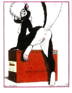 Rating: Explicit Score: 0 Tags: 1997 4_toes absurd_res anthro anus biped breasts brown_eyes claws copyright_symbol curling_toes e621 ear_piercing english_text feet female genitals hi_res hindpaw james_m_hardiman looking_back mammal mephitid nipples nude onyx_(jmh) pawpads paws piercing pink_pawpads presenting raised_leg raised_tail skunk soles solo symbol tail text toes vulva User: bunchy7s Rating: Explicit Score: 0 Tags: 1997 4_toes absurd_res anthro anus biped breasts brown_eyes claws copyright_symbol curling_toes e621 ear_piercing english_text feet female genitals hi_res hindpaw james_m_hardiman looking_back mammal mephitid nipples nude onyx_(jmh) pawpads paws piercing pink_pawpads presenting raised_leg raised_tail skunk soles solo symbol tail text toes vulva User: bunchy7s