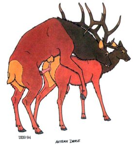 Rating: Explicit Score: 0 Tags: 1990s 1994 20th_century anatomically_correct anatomically_correct_anus anatomically_correct_genitalia anatomically_correct_penis anatomically_correct_pussy animal_anus animal_genitalia animal_penis animal_pussy anus cervine cervine_anus cervine_genitalia cervine_penis cervine_pussy deer doggy_style elk female feral fur genitals male penis pussy rule34 straight tim_o'rourke tongue year User: bunchy7s