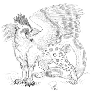Rating: Safe Score: 0 Tags: 1:1 2011 ambiguous_gender avian beak bedroom_eyes e621 feathered_wings feathers feral fur goldenfox graphite_(artwork) greyscale gryphon half-closed_eyes markings monochrome mythological_avian mythological_creature mythology narrowed_eyes seductive side_view sketch solo spots spotted_body spotted_fur tail traditional_media_(artwork) wings User: bunchy7s