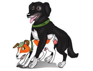 Rating: Explicit Score: 0 Tags: dog feral gay male male_only nude rowf rule34 sex snitter tagme the_plague_dogs User: bunchy7s Rating: Explicit Score: 0 Tags: dog feral gay male male_only nude rowf rule34 sex snitter tagme the_plague_dogs User: bunchy7s