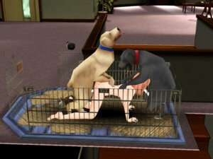 Rating: Explicit Score: 0 Tags: 3d female rule34 tagme zoophilia User: bunchy7s Rating: Explicit Score: 0 Tags: 3d female rule34 tagme zoophilia User: bunchy7s