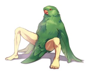 Rating: Questionable Score: 0 Tags: 5:4 5_toes anthro avian avian_butt barefoot beak biped bird brown_eyes crab_walk e621 feathered_wings feathers feet fishball green_body green_feathers humanoid_feet humor male nightmare_fuel nude plantigrade pun simple_background solo spread_legs spreading toes what what_has_science_done white_background wings User: bunchy7s Rating: Questionable Score: 0 Tags: 5:4 5_toes anthro avian avian_butt barefoot beak biped bird brown_eyes crab_walk e621 feathered_wings feathers feet fishball green_body green_feathers humanoid_feet humor male nightmare_fuel nude plantigrade pun simple_background solo spread_legs spreading toes what what_has_science_done white_background wings User: bunchy7s