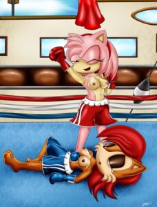 Rating: Questionable Score: 0 Tags: 2013 amy_rose anthro archie_comics bigdon1992 blue_eyes blush boxing breasts brown_body brown_fur chipmunk clothed clothing duo e621 eulipotyphlan female fight flower fur gloves ground_squirrel handwear hedgehog hi_res mammal nipples pink_body plant ravensfan00 rodent rose_(flower) sally_acorn sciurid sega sonic_the_hedgehog_(archie) sonic_the_hedgehog_(comics) sonic_the_hedgehog_(series) sport standing topless User: bunchy7s