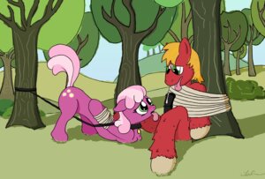 Rating: Explicit Score: 0 Tags: big_macintosh_(mlp) cheerilee_(mlp) earth_pony equine female feral friendship_is_magic fur horse male my_little_pony pony ponyseph rule34 smooth_skin straight User: bunchy7s