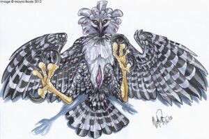 Rating: Explicit Score: 0 Tags: 2012 animal_genitalia avian beak bird claws cloaca crest crest_feathers crestfeathers crests eagle feathers feet feral foot_fetish harpy_eagle hindpaw huskie male male_only mayra_boyle noxal noxy on_back paws penis rule34 talons wings User: bunchy7s Rating: Explicit Score: 0 Tags: 2012 animal_genitalia avian beak bird claws cloaca crest crest_feathers crestfeathers crests eagle feathers feet feral foot_fetish harpy_eagle hindpaw huskie male male_only mayra_boyle noxal noxy on_back paws penis rule34 talons wings User: bunchy7s