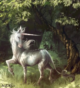 Rating: Safe Score: 0 Tags: 2011 ambiguous_gender detailed_background e621 equid equine feral forest grass hooves horn mammal mythological_creature mythological_equine mythology nathradas nature outside plant quadruped scenery sheeras solo tail tree unicorn wood User: bunchy7s