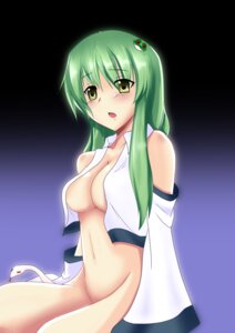 Rating: Explicit Score: 0 Tags: female rule34 sanae_kochiya tagme touhou User: bunchy7s