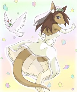 Rating: Safe Score: 0 Tags: 5:6 armwear avian beak bird brown_hair cere_(anatomy) clothing columbid dove dress e621 elbow_gloves female gloves hair handwear kangaroo legwear looking_back macropod mammal marsupial ribbons snakehunter solo stockings tail wedding_dress wind User: bunchy7s Rating: Safe Score: 0 Tags: 5:6 armwear avian beak bird brown_hair cere_(anatomy) clothing columbid dove dress e621 elbow_gloves female gloves hair handwear kangaroo legwear looking_back macropod mammal marsupial ribbons snakehunter solo stockings tail wedding_dress wind User: bunchy7s