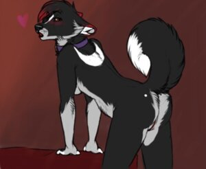 Rating: Explicit Score: 0 Tags: anthro artist_request bent_over canine casey casey_(character) collar female furry heart looking_at_viewer nude pussy raised_tail rule34 tail User: bunchy7s