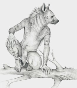 Rating: Safe Score: 0 Tags: 2010 anthro aruhs bottomwear claws clothed clothing crouching e621 hyena loincloth male mammal navel nipples solo striped_hyena topless User: bunchy7s Rating: Safe Score: 0 Tags: 2010 anthro aruhs bottomwear claws clothed clothing crouching e621 hyena loincloth male mammal navel nipples solo striped_hyena topless User: bunchy7s