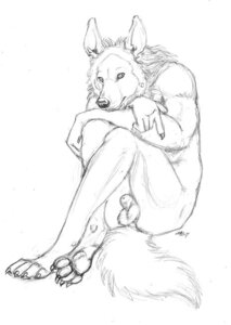 Rating: Explicit Score: 0 Tags: animal_genitalia anthro balls biped black_and_white brown_hyena detached_sheath e621 ebonytigress fully_sheathed genitals hyena karl_(hyenafur) looking_at_viewer male mammal monochrome nude sheath sitting solo tail User: bunchy7s