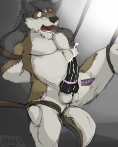 Rating: Explicit Score: 0 Tags: 4:5 accessory amwulf animal_genitalia animal_penis anthro bdsm biceps black_body black_fur black_penis bodily_fluids bondage bound brown_body brown_fur canid canine canine_genitalia canine_penis canis cock_ring cock_ring_vibrator cum cumshot e621 ejaculation erection forced forced_orgasm fur genital_fluids genitals grey_body grey_fur hi_res jewelry knot knotted_penis male mammal masturbation muscular muscular_anthro muscular_male nude open_mouth orgasm pecs penile penile_masturbation penis penis_accessory penis_jewelry ring_vibrator sex_toy shocked solo submissive submissive_male tail toying_self vibrating_cock_ring vibrator vibrator_on_penis white_body white_fur wolf yellow_eyes User: bunchy7s