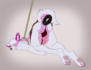 Rating: Explicit Score: 0 Tags: 1boy 2011 anal anal_sex anthro anus ass ass_up canine collar dildo double_anal double_dildo ear_piercing earring facial_piercing fur furry kilt knot leash male male_only masturbation panties penetration penis piercing pink raised_tail rule34 sex_toy solo tail underwear upskirt white_fur wolf wyndsong User: bunchy7s