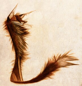 Rating: Safe Score: 0 Tags: 2013 ambiguous_gender canid canine e621 eyes_closed feral fox mammal skia solo tail User: bunchy7s Rating: Safe Score: 0 Tags: 2013 ambiguous_gender canid canine e621 eyes_closed feral fox mammal skia solo tail User: bunchy7s