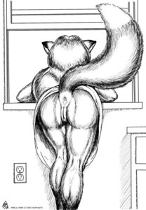 Rating: Explicit Score: 0 Tags: anthro anus bent_over black_and_white bottomless butt canid canine cirrel clothed clothing digital_drawing_(artwork) digital_media_(artwork) e621 female fox genitals mammal monochrome presenting presenting_hindquarters raised_tail sheila_vixen solo tail tail_anus vulva User: bunchy7s Rating: Explicit Score: 0 Tags: anthro anus bent_over black_and_white bottomless butt canid canine cirrel clothed clothing digital_drawing_(artwork) digital_media_(artwork) e621 female fox genitals mammal monochrome presenting presenting_hindquarters raised_tail sheila_vixen solo tail tail_anus vulva User: bunchy7s