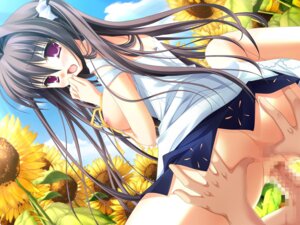 Rating: Explicit Score: 0 Tags: blush censored cowgirl_position dutch_angle female flower natsu_yume_nagisa outdoors pussy reverse_cowgirl_position rule34 sex straddle sunflowers vaginal_penetration User: bunchy7s