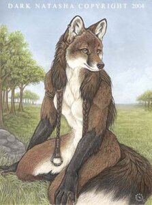 Rating: Questionable Score: 0 Tags: 2004 anthro biped black_body black_fur braided_hair breasts brown_body brown_eyes brown_fur brown_hair canid canine chest_tuft dark_natasha day dipstick_tail e621 ear_piercing female fluffy fluffy_tail fox fur grass hair inner_ear_fluff kneeling long_hair low_res mammal markings mullet multicolored_tail nude outside piercing plant realistic red_fox signature sky small_breasts solo tail tail_markings tree true_fox tuft white_body white_fur User: bunchy7s
