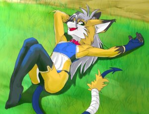 Rating: Questionable Score: 0 Tags: anthro biped bulge canid canine clothed clothing detailed_background e621 fox grass looking_at_viewer lying male mammal on_back outside plant pose skimpy solo tail unavailable_at_source unknown_artist User: bunchy7s