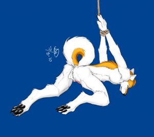 Rating: Explicit Score: 0 Tags: anthro balls bdsm bondage bound canid canine canis domestic_dog e621 erection genitals labbedog male mammal nude paws penis rope solo submissive submissive_male tail User: bunchy7s