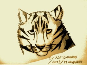 Rating: Safe Score: 0 Tags: 2013 4:3 alessandro ambiguous_gender domestic_cat e621 felid feline felis headshot_portrait hi_res looking_at_viewer mammal portrait signature simple_background solo User: bunchy7s Rating: Safe Score: 0 Tags: 2013 4:3 alessandro ambiguous_gender domestic_cat e621 felid feline felis headshot_portrait hi_res looking_at_viewer mammal portrait signature simple_background solo User: bunchy7s