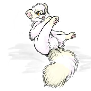 Rating: Explicit Score: 0 Tags: 1:1 2008 biped dingyote e621 female feral fur genitals lying mammal on_back pawpads paws procyonid raccoon sachicoon_(char) simple_background solo tail toony vulva white_background white_body white_fur User: bunchy7s
