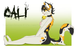 Rating: Questionable Score: 0 Tags: 2010 anthro bell breasts cali candyfoxy collar collar_only digital_media_(artwork) domestic_cat e621 felid feline felis female mammal naughty_face nipples nude side_boob side_view solo tail User: bunchy7s Rating: Questionable Score: 0 Tags: 2010 anthro bell breasts cali candyfoxy collar collar_only digital_media_(artwork) domestic_cat e621 felid feline felis female mammal naughty_face nipples nude side_boob side_view solo tail User: bunchy7s