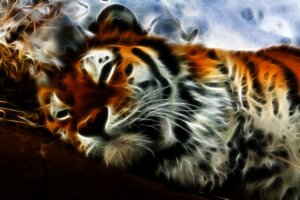 Rating: Safe Score: 0 Tags: abstract_art ambiguous_gender digital_media_(artwork) e621 felid feral fractals grandfathered_content mammal pantherine siberian_tiger solo stripes third-party_edit tiger unknown_artist User: bunchy7s